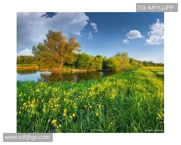 姚明河美丽风光尽显自然魅力的绝佳摄影作品欣赏与分享 姚明河美丽风光尽显自然魅力的绝佳摄影作品欣赏与分享