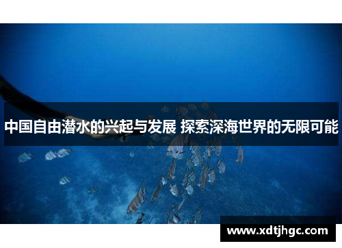 中国自由潜水的兴起与发展 探索深海世界的无限可能