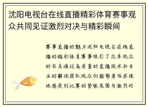 沈阳电视台在线直播精彩体育赛事观众共同见证激烈对决与精彩瞬间